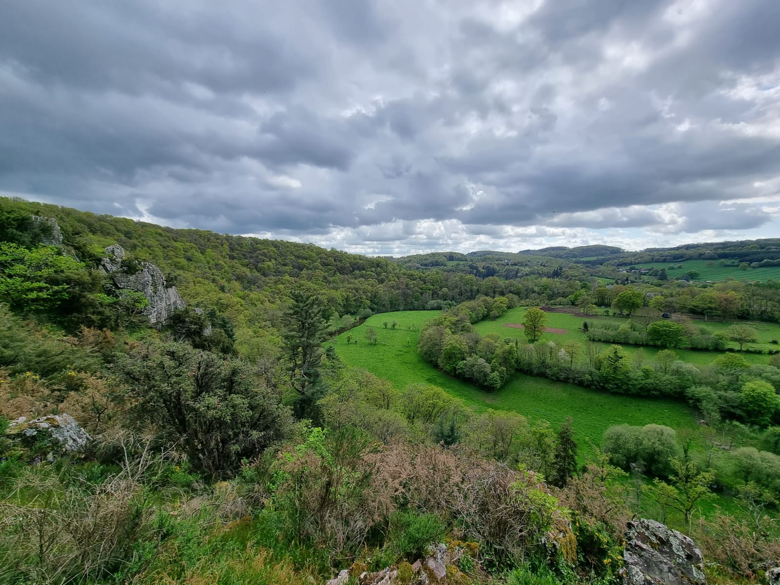 Paysage verdoyant avec forêt et nuages gris.