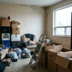 Tutelle, curatelle, habilitation familiale : quelles différences et comment agir sur le logement d'un proche protégé